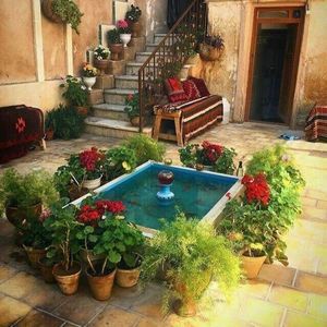 Meet your Posher, Shelly